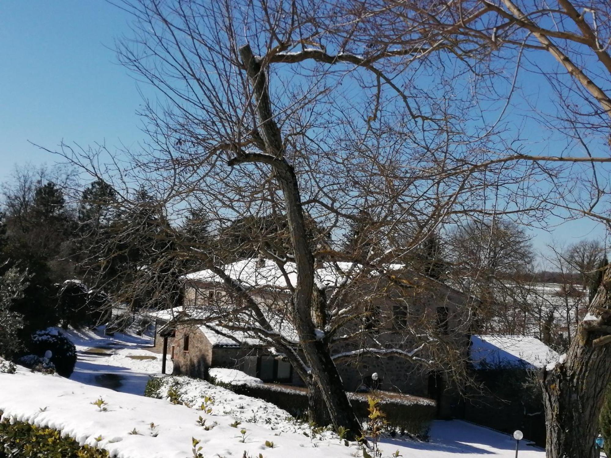 Agriturismo Il Cornalino Castel Viscardo Buitenkant foto