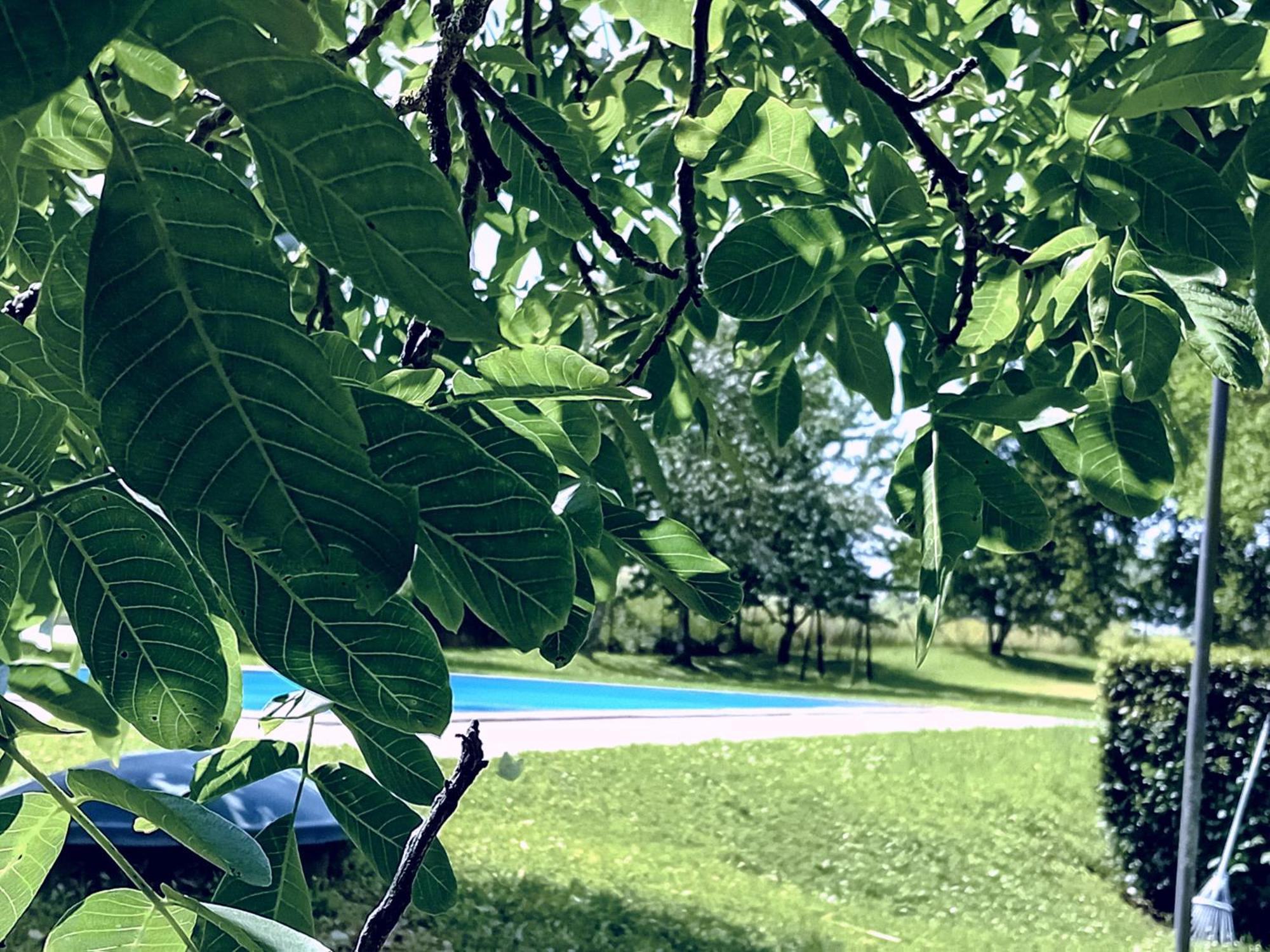 Agriturismo Il Cornalino Castel Viscardo Buitenkant foto