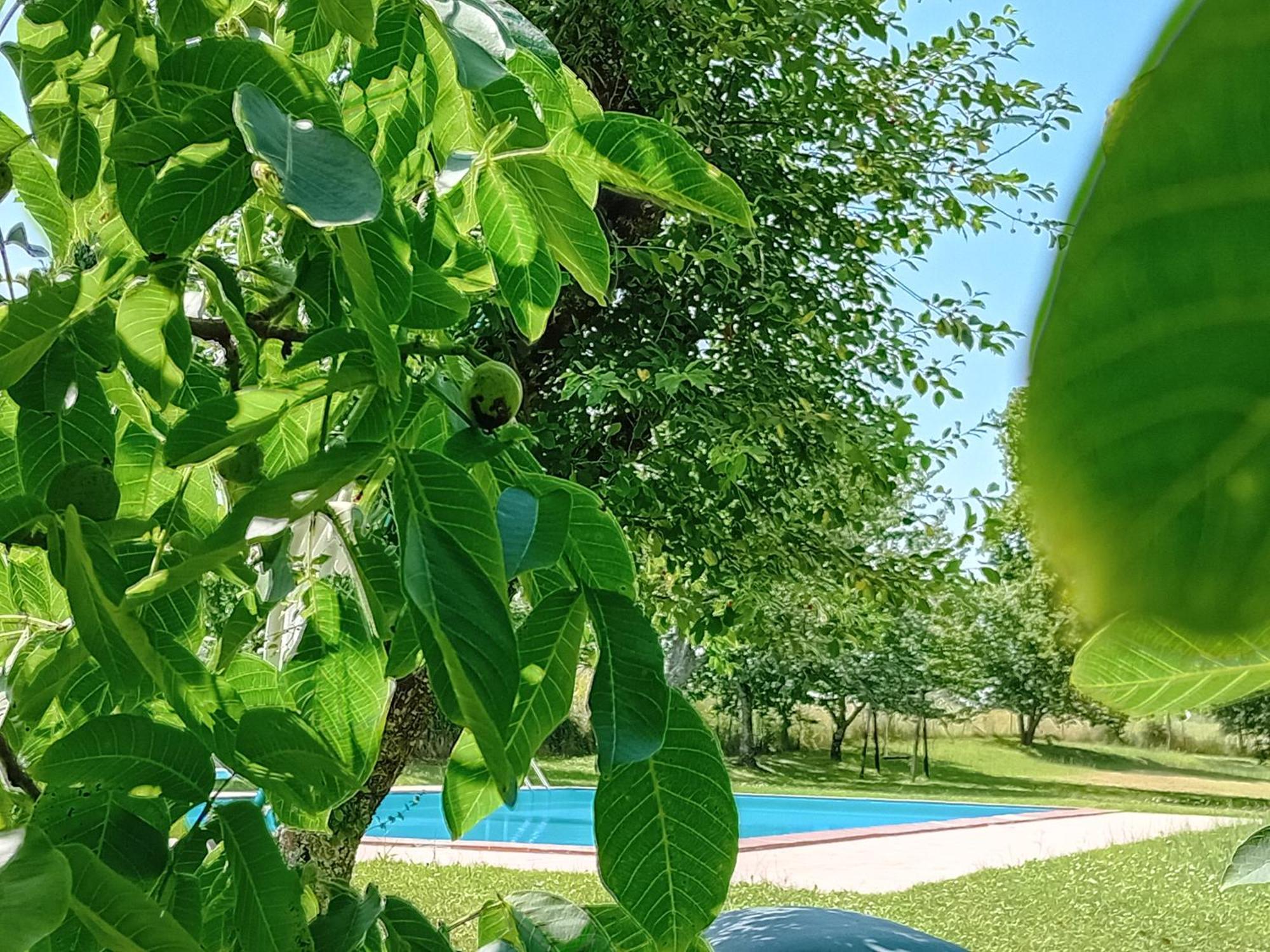 Agriturismo Il Cornalino Castel Viscardo Buitenkant foto