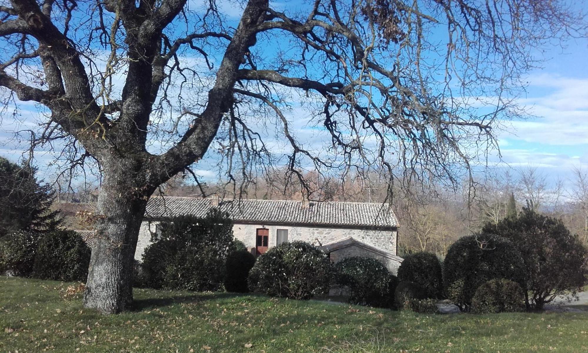 Agriturismo Il Cornalino Castel Viscardo Buitenkant foto
