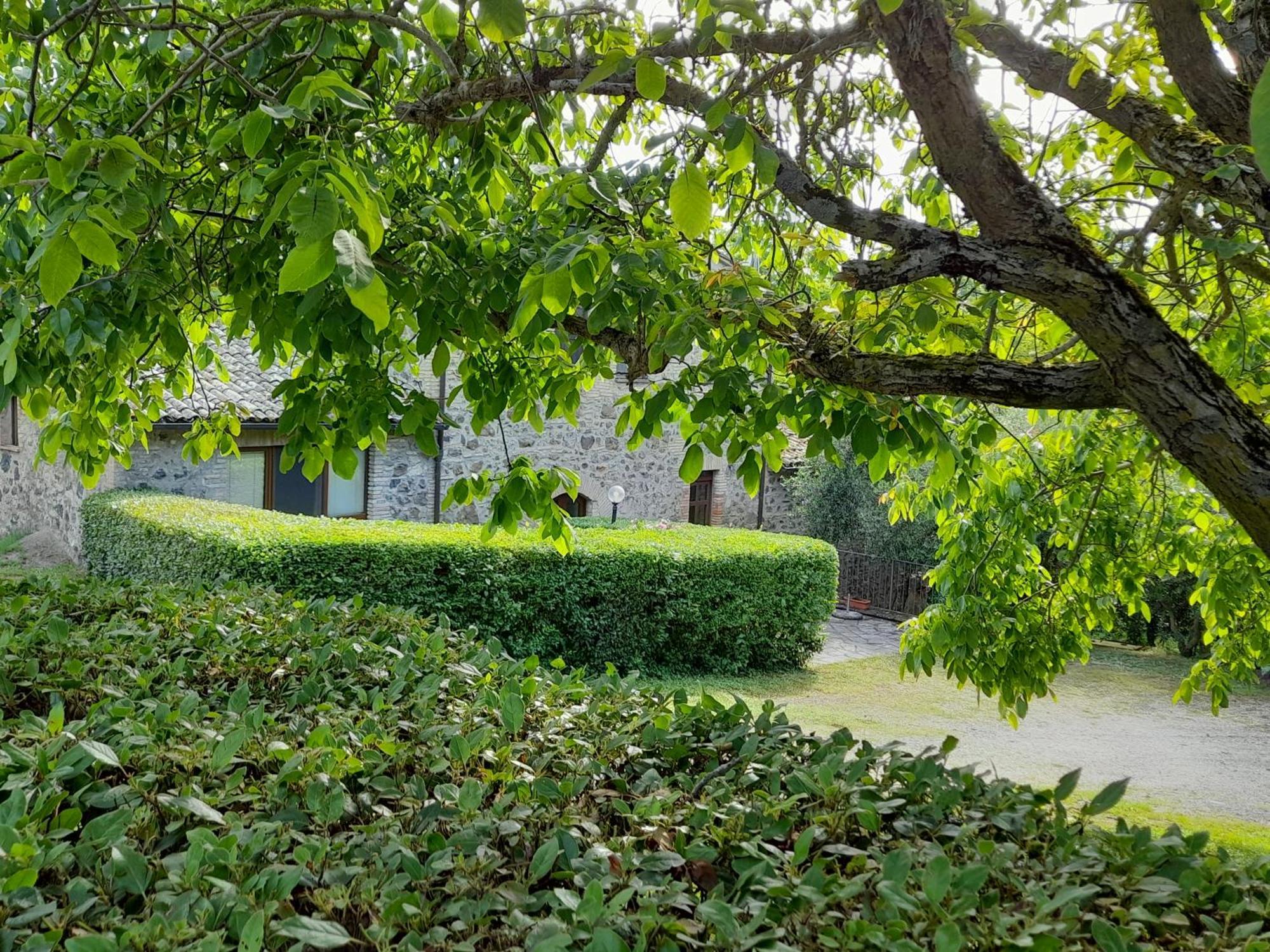 Agriturismo Il Cornalino Castel Viscardo Buitenkant foto