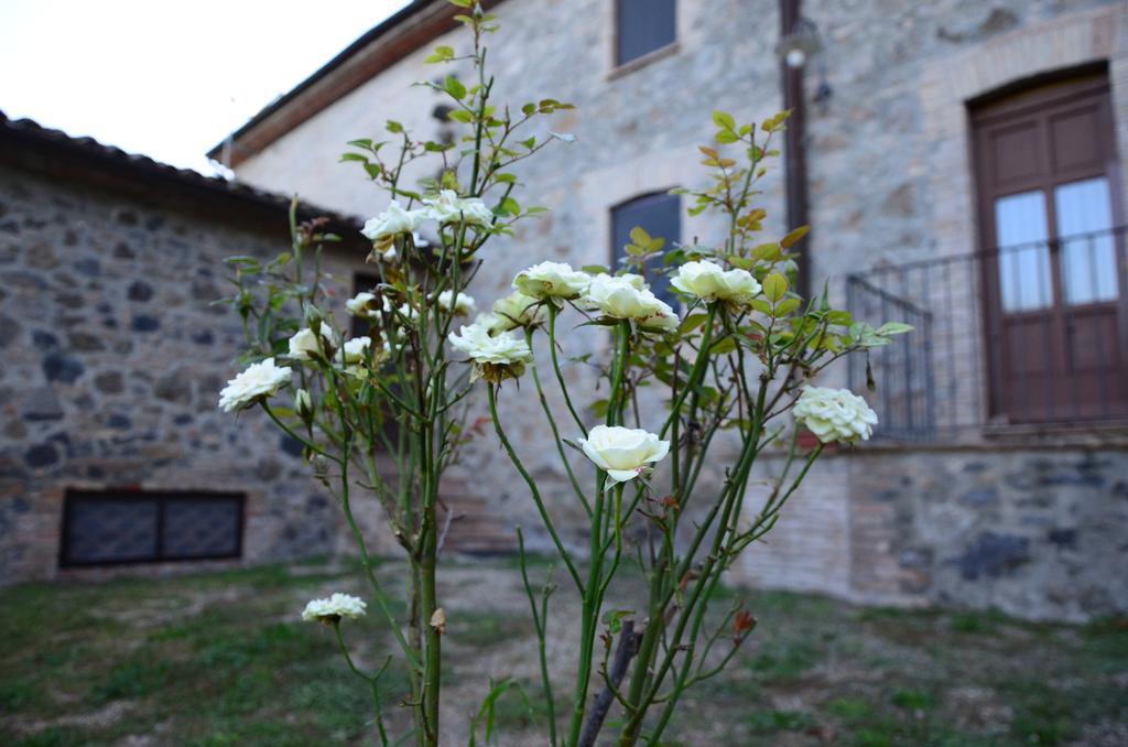 Agriturismo Il Cornalino Castel Viscardo Buitenkant foto