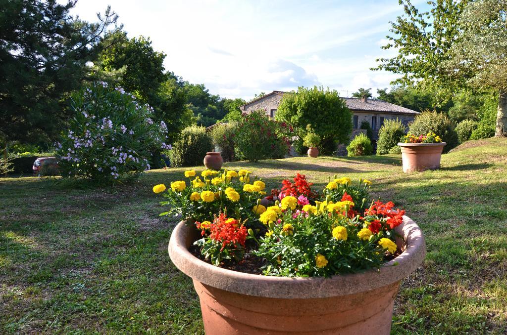 Agriturismo Il Cornalino Castel Viscardo Buitenkant foto